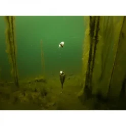 Fox Edges Zig Float Kit -Exporteren Vissen Vreugde Winkel 11300038469Fox Edges Zit Float Kit 1