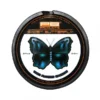PB Products Ghost Butterfly 20m
