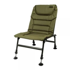 Lion Sports Treasure Young Chair