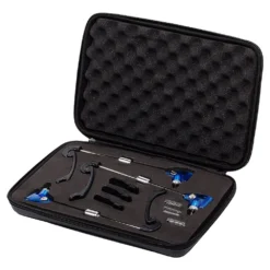 Lion Sports Schwung!