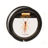 PB-Products Red Ant Snagleader 35lb 80m -Exporteren Vissen Vreugde Winkel 62353p 23463